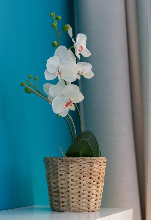 Blu In Vatican Bed & Breakfast Roma